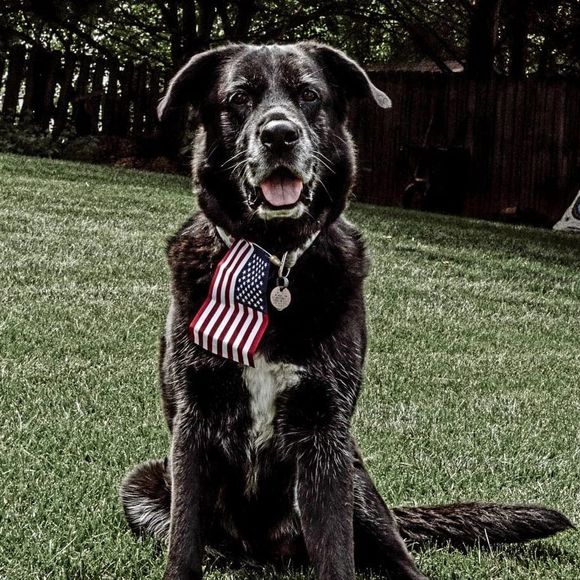 Meet your Posher, Jennifer - Picture 1 of 1